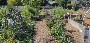 Learning Garden
